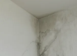 Parede com infiltração? Veja aqui 4 dicas para resolver o problema | Casa do Construtor - Aluguel de equipamentos