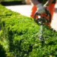 Tipos de cerca viva: 7 ideias para o seu jardim! Tipos de cerca viva: 7 ideias para o seu jardim!
