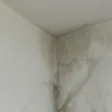 Parede com infiltração? Veja aqui 4 dicas para resolver o problema | Casa do Construtor - Aluguel de equipamentos