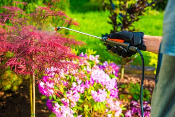 Serviço de Jardinagem: como o equipamento impacta a produtividade?